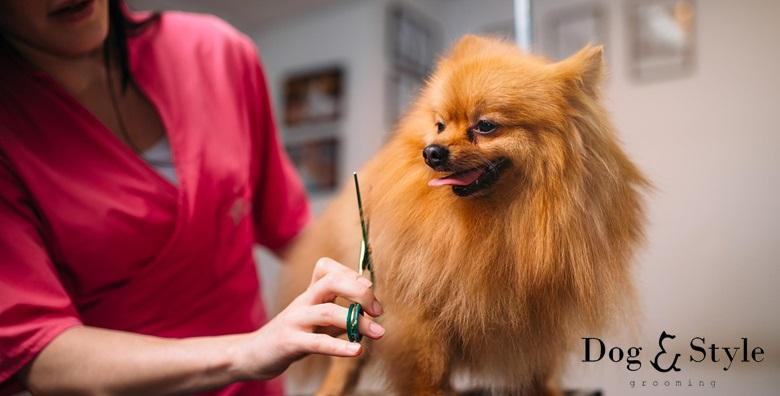 DOG & STYLE, OBRT ZA USLUGE