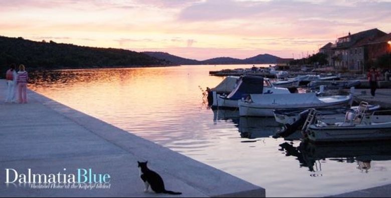 Kuća za odmor Dalmatia Blue***