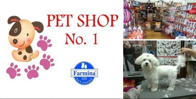 Pet Shop No1 Terrigena