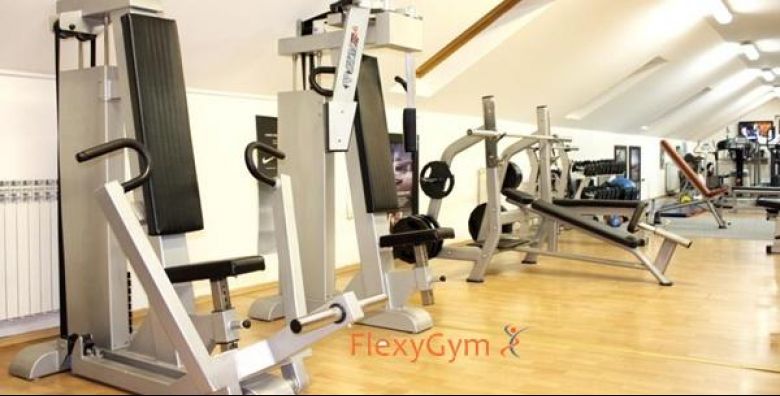 D.Š.R. FlexyGym