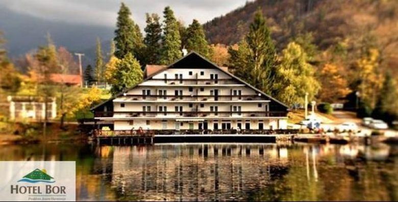 Hotel Bor***