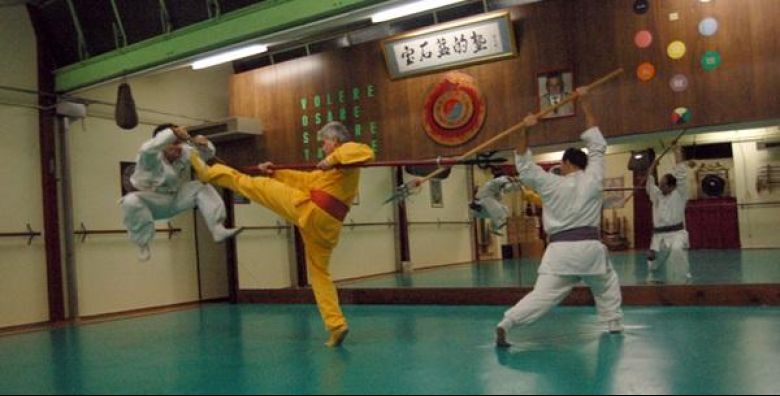Kung Fu škola Safira