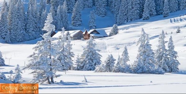 Centar Delnice***