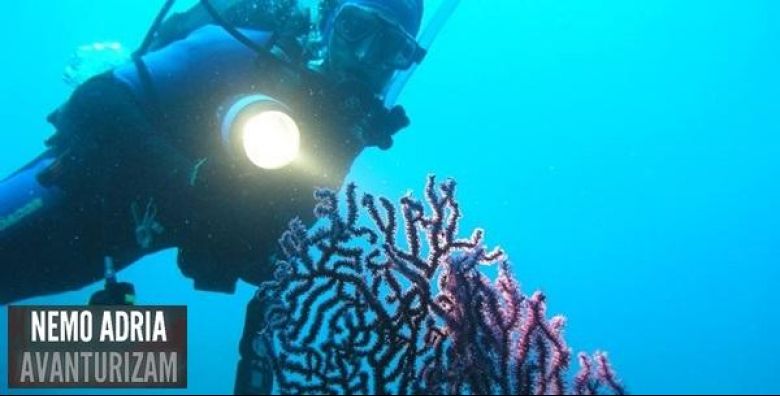 Nemo Adria d.o.o.