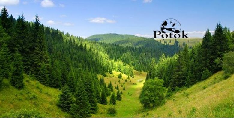 Pansion Potok***