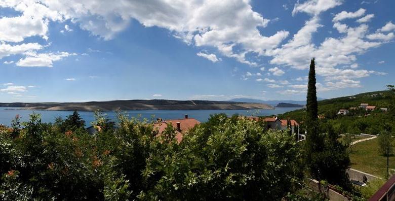 Vives Ende-Pozzecco