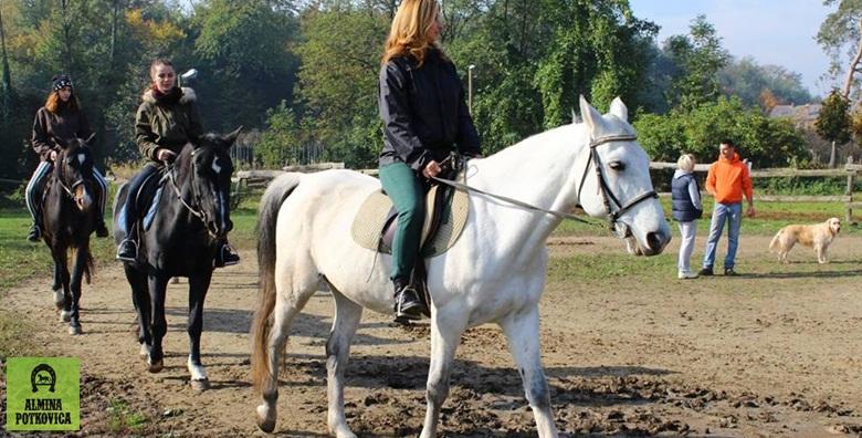 Almina potkovica